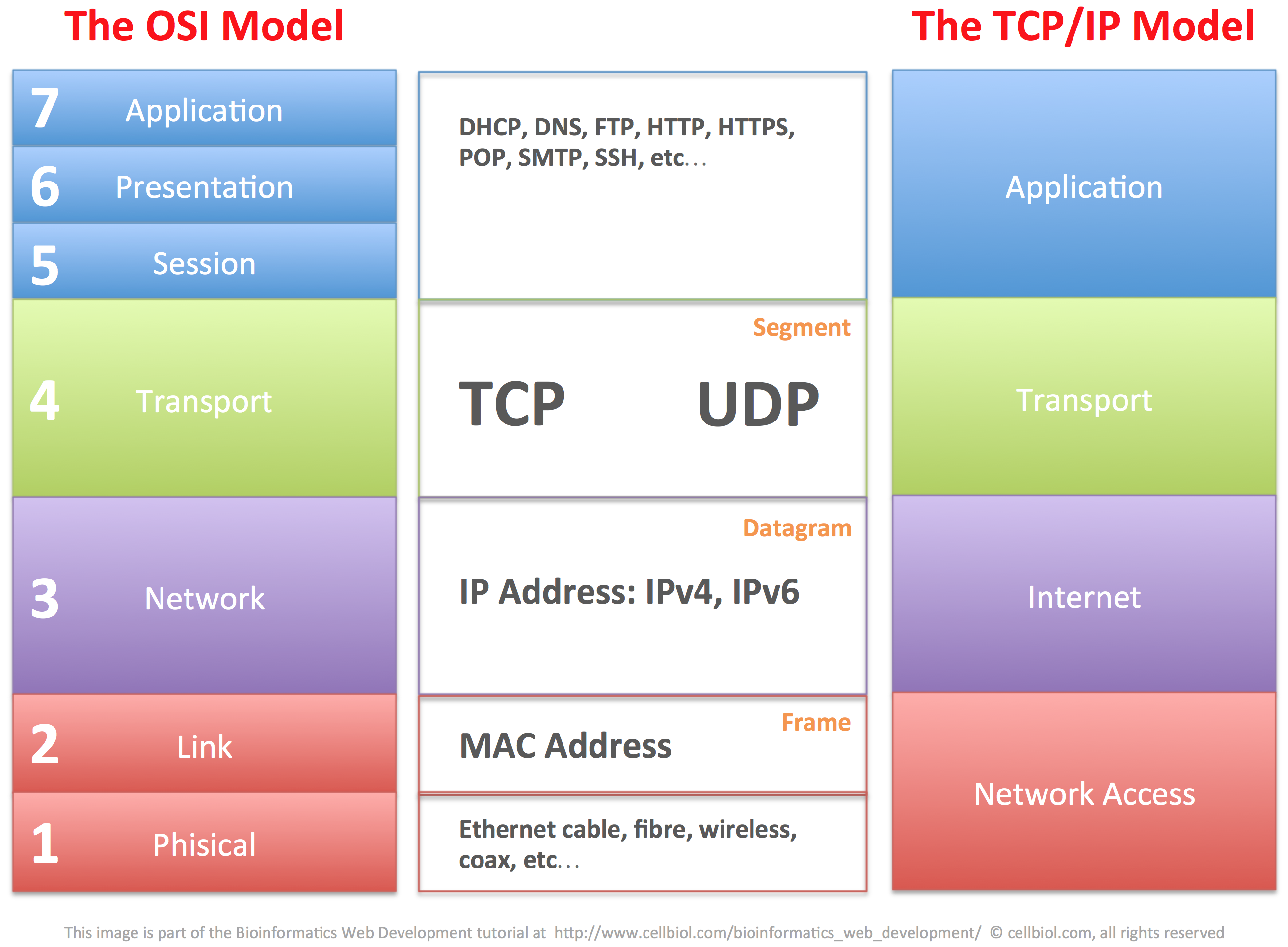 tcp-and-udp1