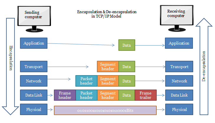 network-introduction-2